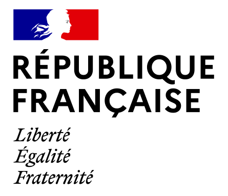 Groupe Sgp Actualites Logo Republique Francaise 109