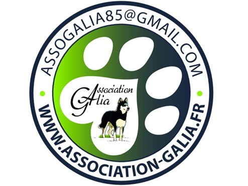 Groupe Sgp Engagements Image1 04