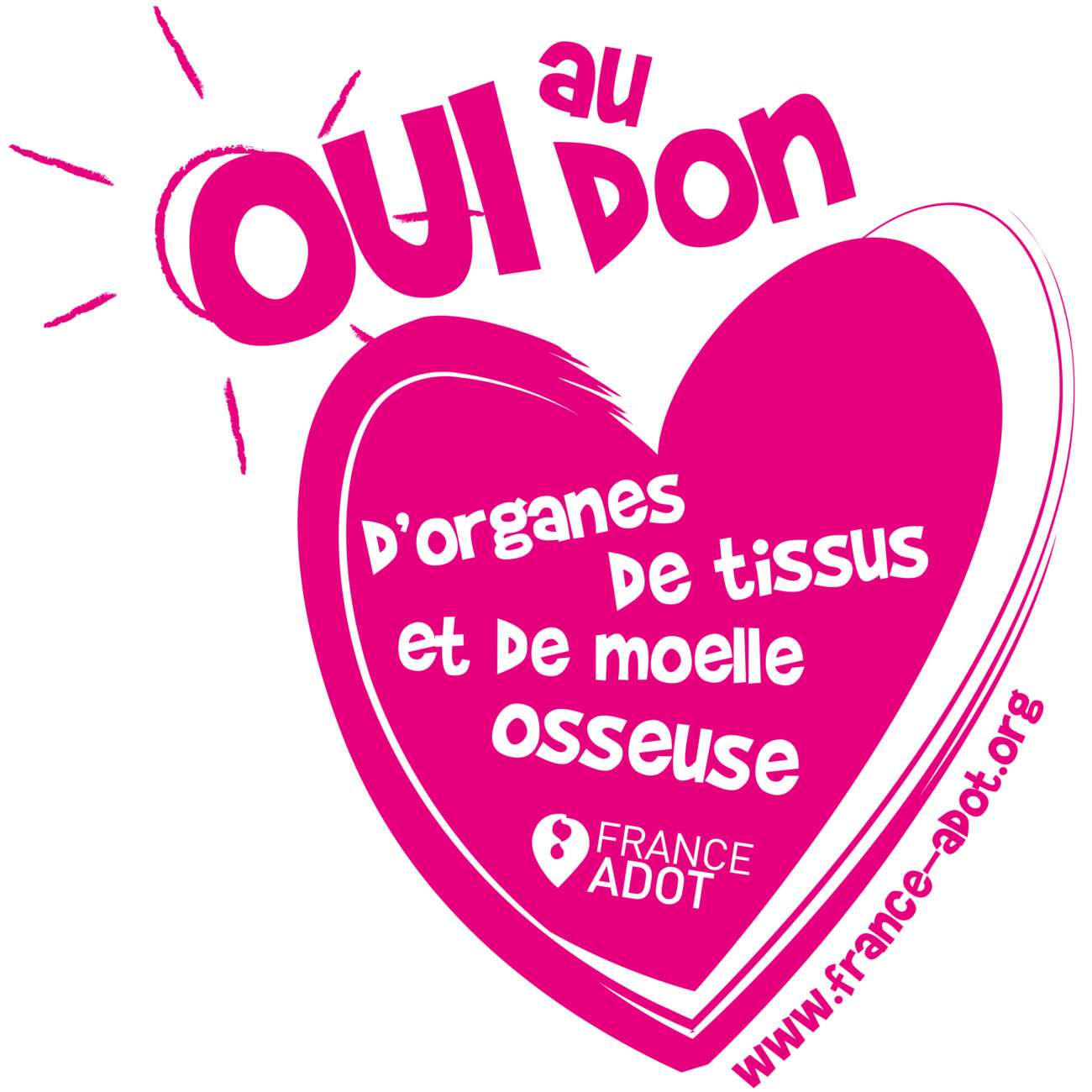 Groupe Sgp Blog Visuel OUI Au Don 65