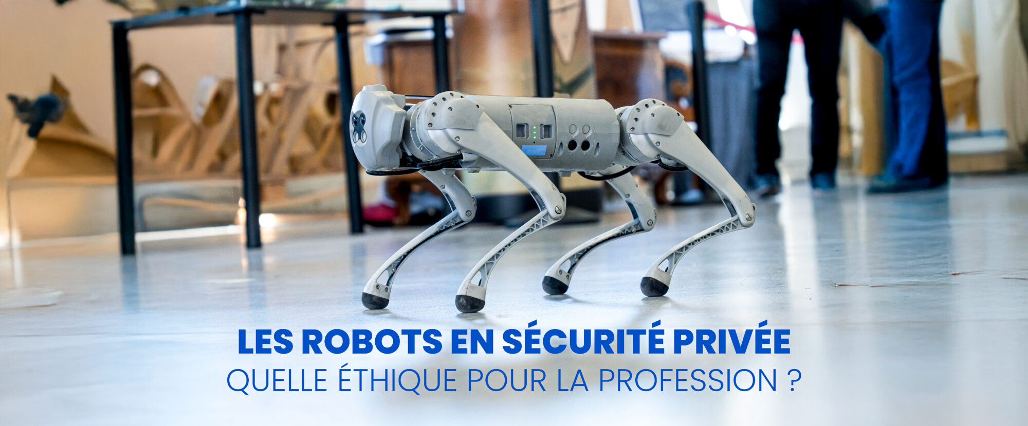 Groupe Sgp Article Site Web 2025 AdobeStock 839700133 27