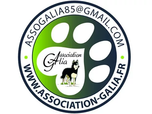 Groupe Sgp Engagements Image1 04