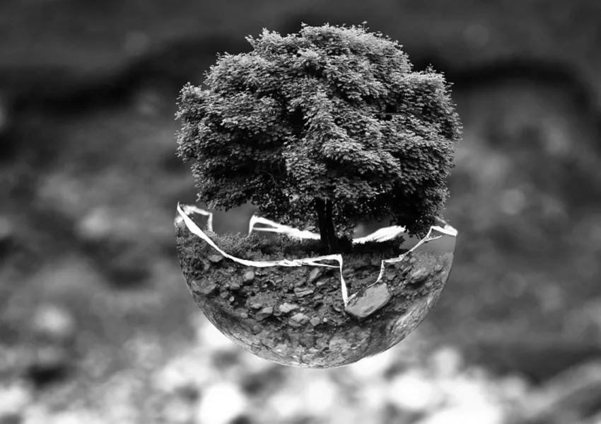 groupe sgp uncategorized image