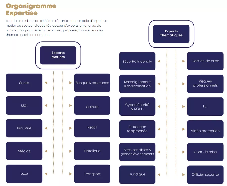 groupe sgp uncategorized organigramme