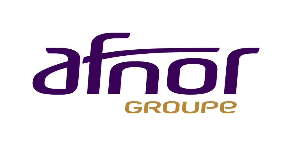 Groupe Sgp Footer Afnor Logo 5984
