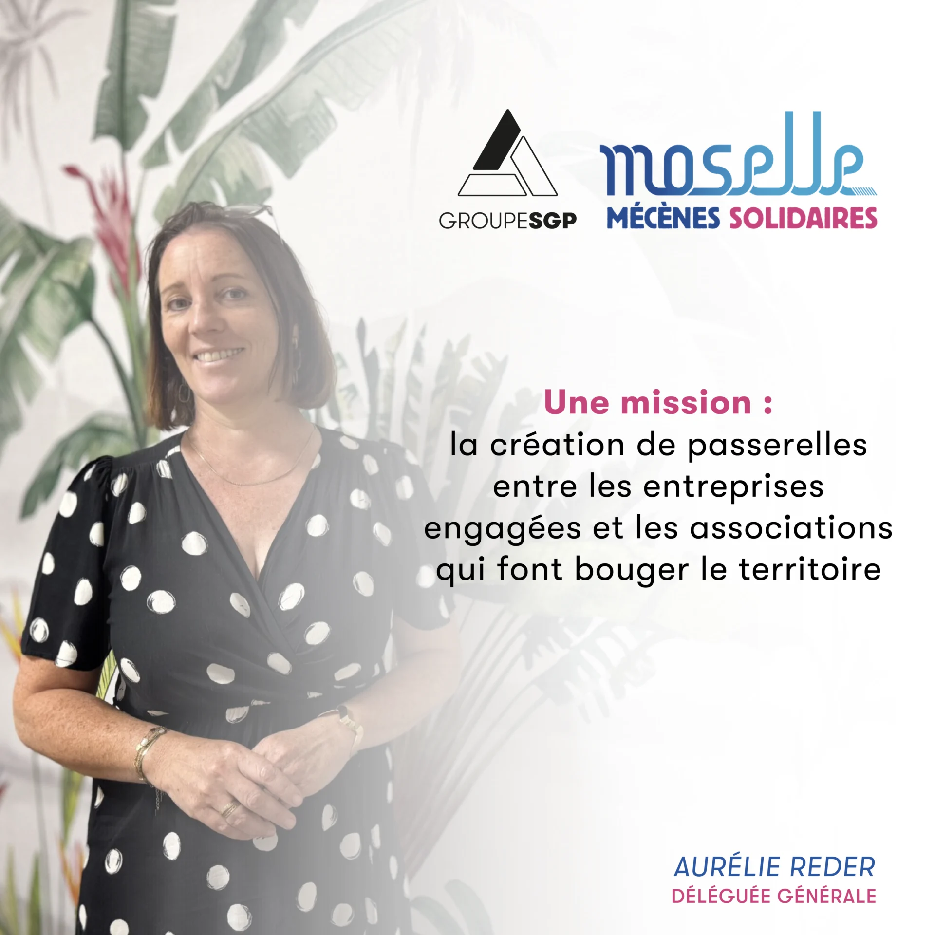 Groupe Sgp Telechargements Moselle Mecenes Solidaires V2 6135